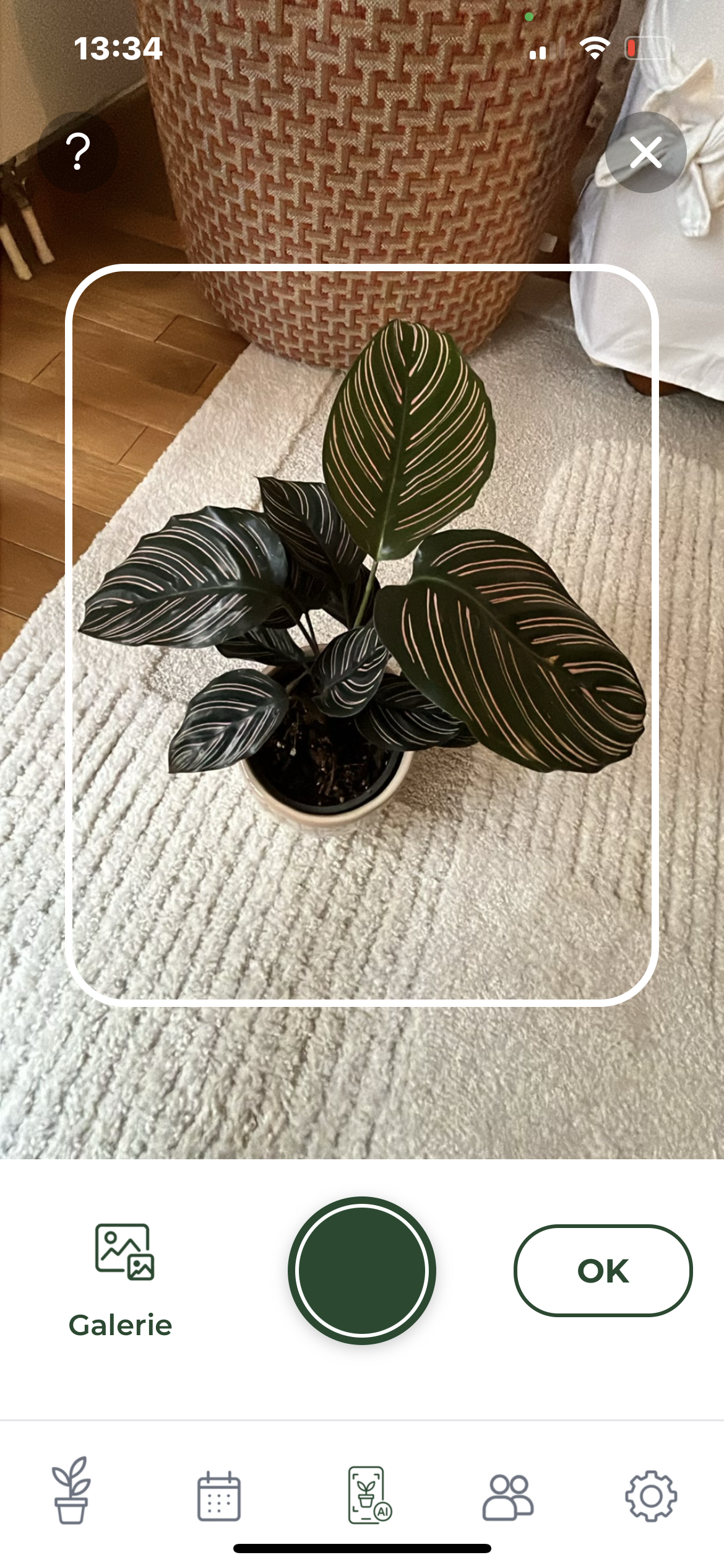 Scanner IA Arroseo — identification de plante